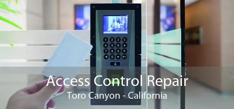 Access Control Repair Toro Canyon - California