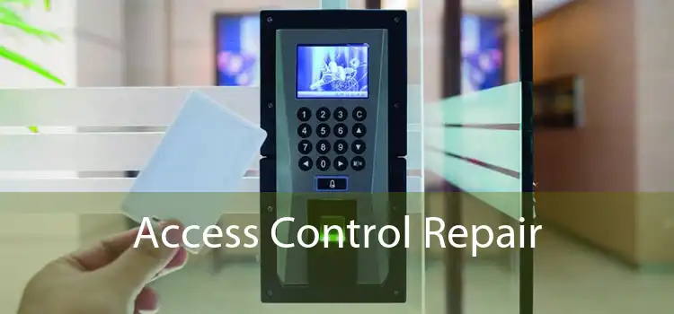 Access Control Repair 