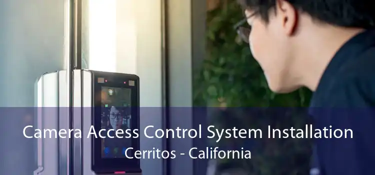 Camera Access Control System Installation Cerritos - California