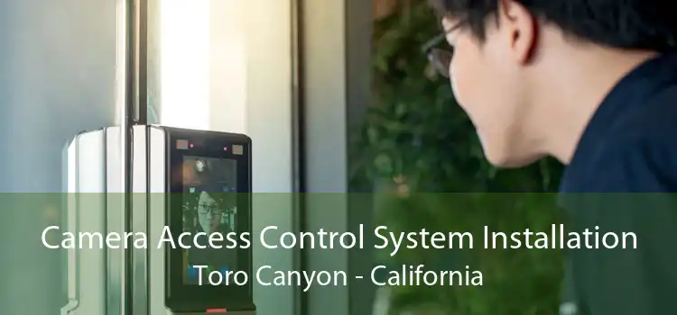 Camera Access Control System Installation Toro Canyon - California