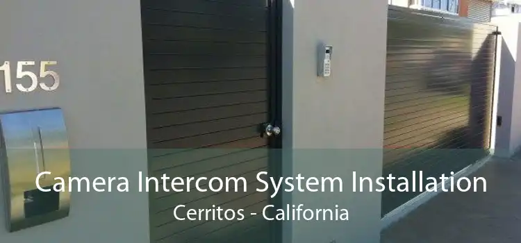 Camera Intercom System Installation Cerritos - California