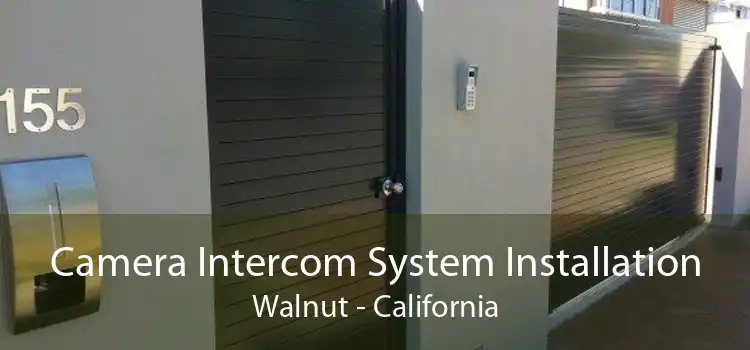 Camera Intercom System Installation Walnut - California