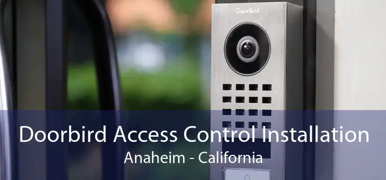 Doorbird Access Control Installation Anaheim - California