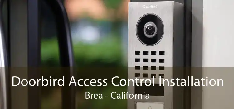 Doorbird Access Control Installation Brea - California