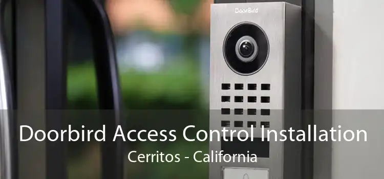 Doorbird Access Control Installation Cerritos - California