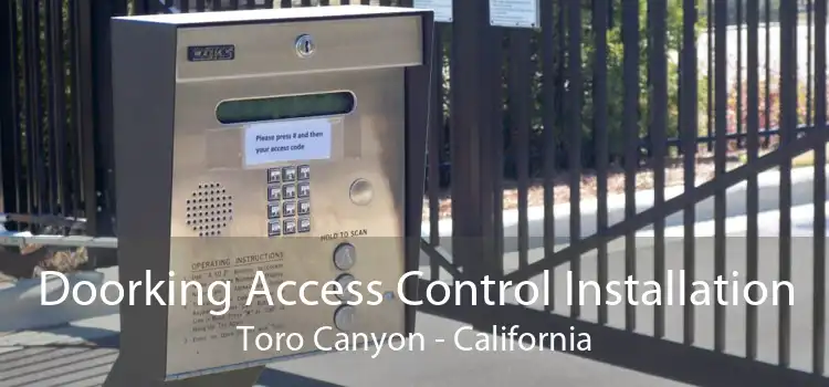 Doorking Access Control Installation Toro Canyon - California