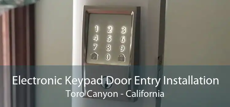 Electronic Keypad Door Entry Installation Toro Canyon - California