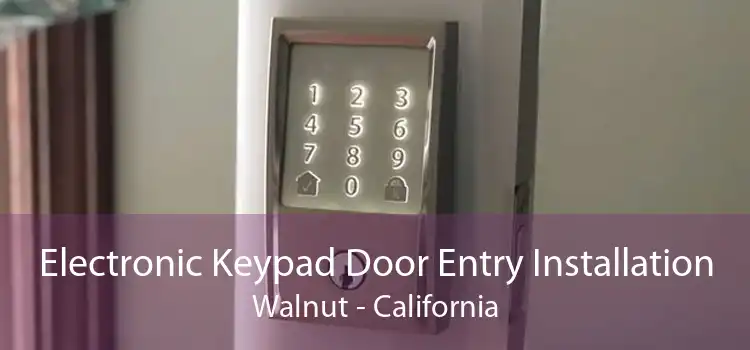 Electronic Keypad Door Entry Installation Walnut - California