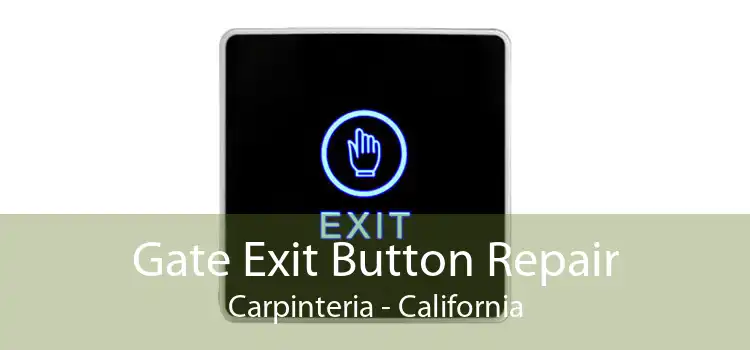 Gate Exit Button Repair Carpinteria - California