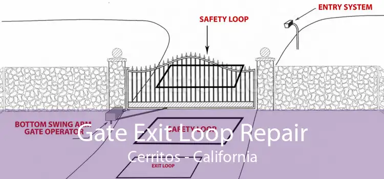 Gate Exit Loop Repair Cerritos - California