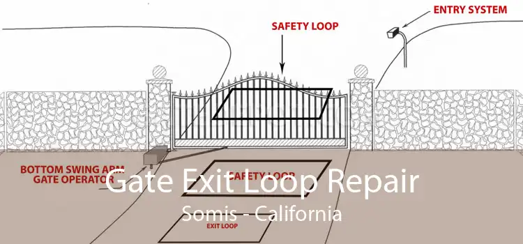 Gate Exit Loop Repair Somis - California