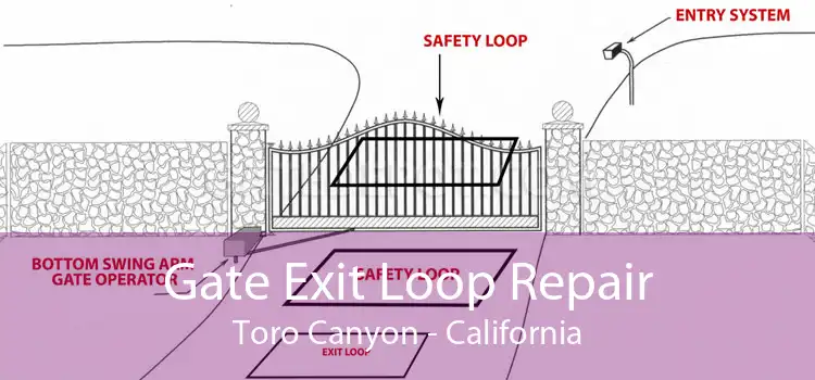 Gate Exit Loop Repair Toro Canyon - California