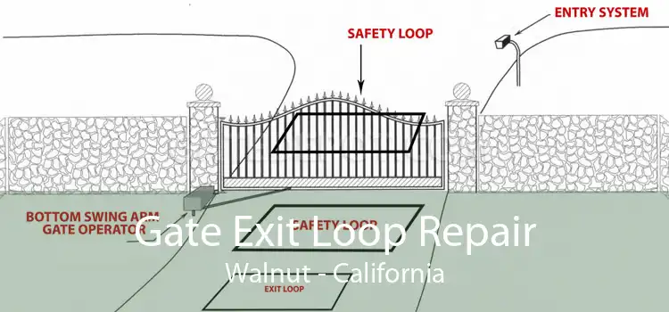 Gate Exit Loop Repair Walnut - California