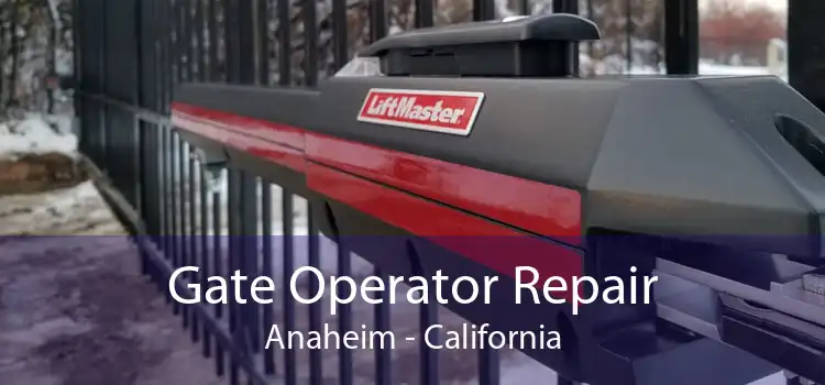 Gate Operator Repair Anaheim - California