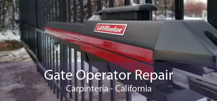 Gate Operator Repair Carpinteria - California