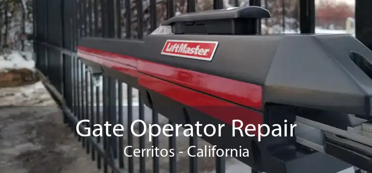 Gate Operator Repair Cerritos - California