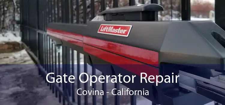 Gate Operator Repair Covina - California