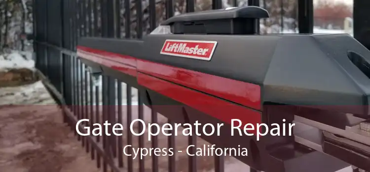 Gate Operator Repair Cypress - California