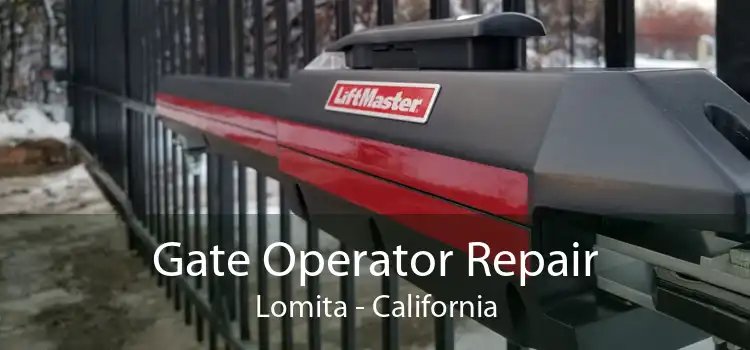 Gate Operator Repair Lomita - California