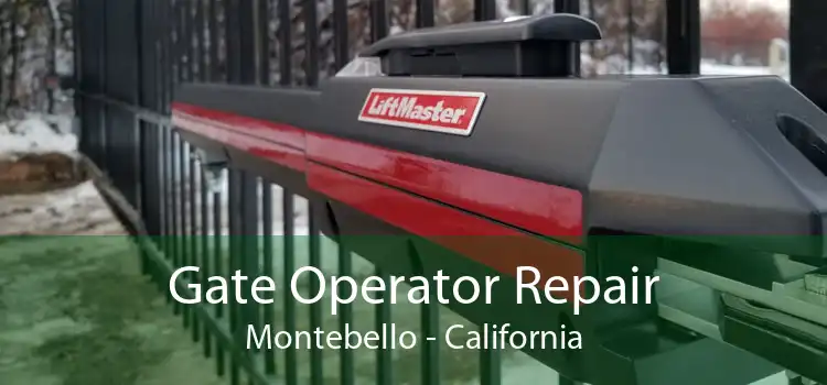 Gate Operator Repair Montebello - California