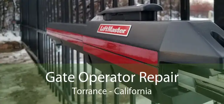 Gate Operator Repair Torrance - California