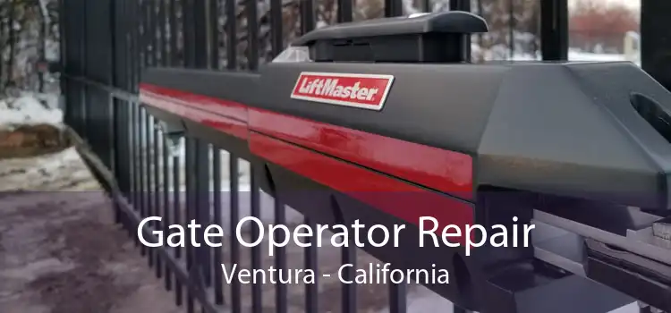 Gate Operator Repair Ventura - California