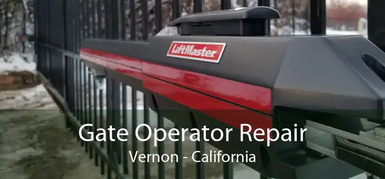 Gate Operator Repair Vernon - California