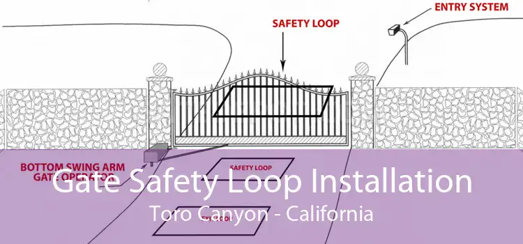 Gate Safety Loop Installation Toro Canyon - California