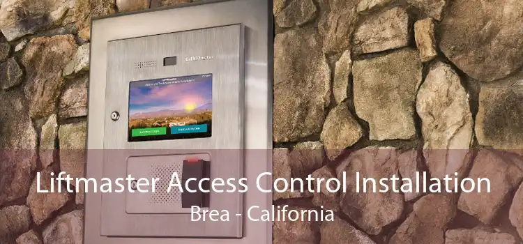 Liftmaster Access Control Installation Brea - California