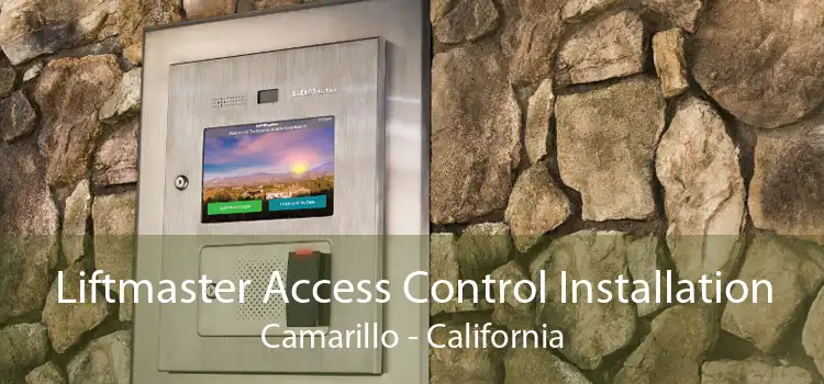 Liftmaster Access Control Installation Camarillo - California