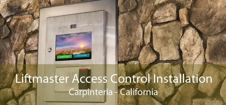 Liftmaster Access Control Installation Carpinteria - California