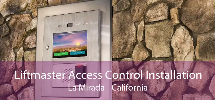 Liftmaster Access Control Installation La Mirada - California