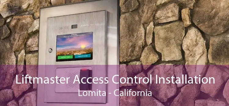 Liftmaster Access Control Installation Lomita - California