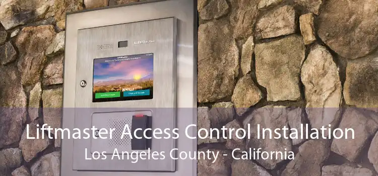 Liftmaster Access Control Installation Los Angeles County - California