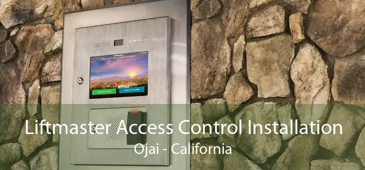 Liftmaster Access Control Installation Ojai - California