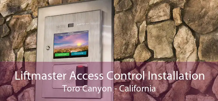 Liftmaster Access Control Installation Toro Canyon - California