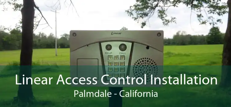 Linear Access Control Installation Palmdale - California