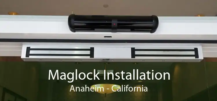 Maglock Installation Anaheim - California