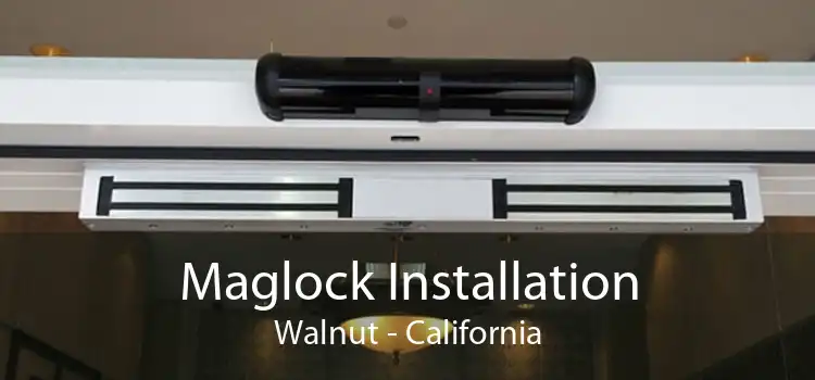 Maglock Installation Walnut - California